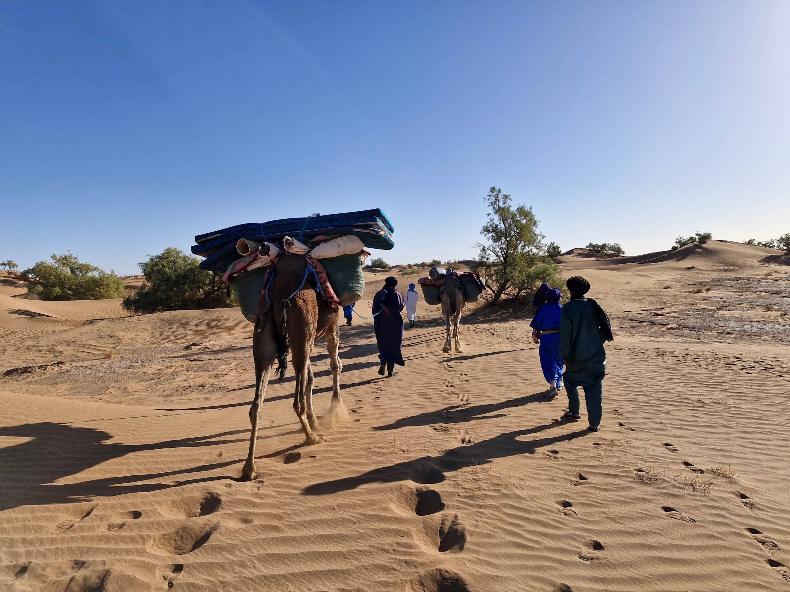 Desert Treks